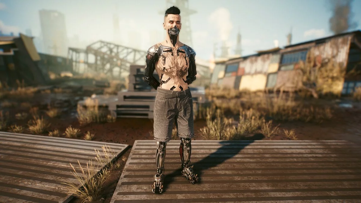 Cyberpunk 2077 — Cybernétique V